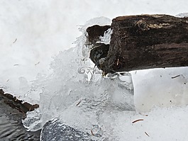 噴泉,水,冬天