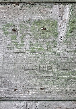 木材,質(zhì)地,油漆