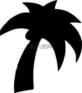 棕櫚樹,棕櫚,椰子