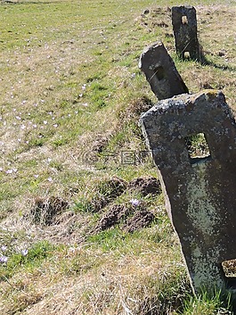 地標(biāo),草地,春天
