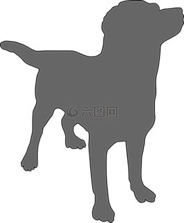 狗,寵物,動(dòng)物