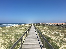 木板路,葡萄牙,沿海路徑