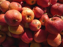 蘋果,水果,紅色