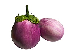 茄子,melanzana,廚師