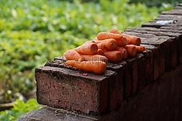 紅蘿卜,靜物,蔬菜