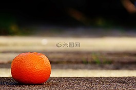 普通話,水果,柑橘類水果