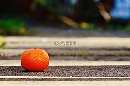 普通話,水果,柑橘類水果