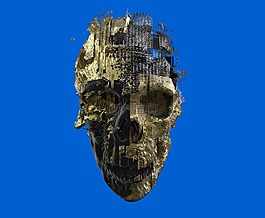 骨架,頭骨,3d