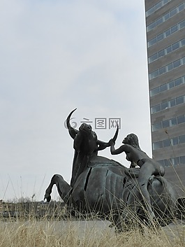 公牛,牛,動物