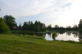 池塘,草甸,białowieża