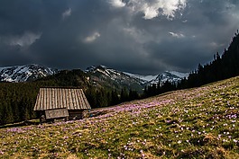 小屋,房子,机舱