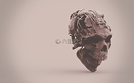 骨架,頭骨,3d