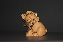豬,農(nóng)舍,春天來(lái)了