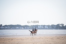 的水體,戶外,旅行