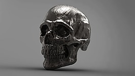 銀,頭骨,3d