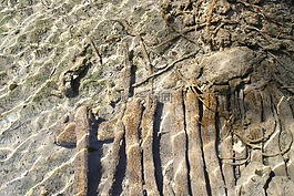水下,清除,水