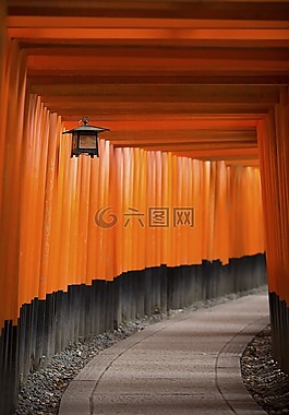 結(jié)構(gòu),建設(shè),基礎(chǔ)設(shè)施
