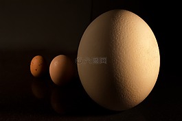 雞蛋,宏,食品