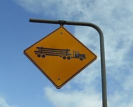 路標(biāo),運輸,樹干