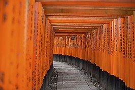結(jié)構(gòu),建設(shè),基礎(chǔ)設(shè)施