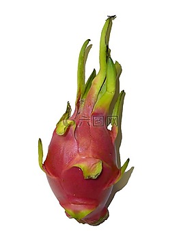 pitahaya,火龍果,水果