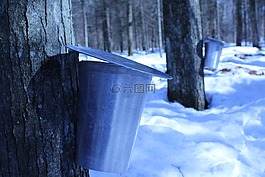 sirop,楓,糖