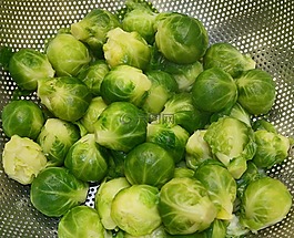 布魯塞爾豆芽,蔬菜,科爾