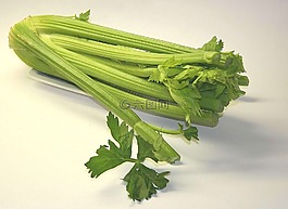 芹菜,蔬菜,健康