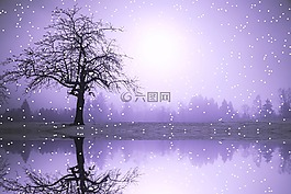 冬天,雪,降雪