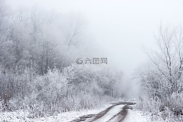 自然,景觀,旅行