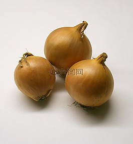洋蔥,蔬菜,成分