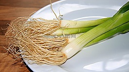 蔥,韭菜,洋蔥