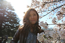 花,白,花瓣