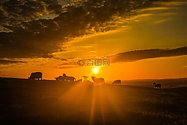 太阳,羊,云