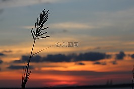 日落,云,藍色