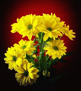 花,廠,性質(zhì)