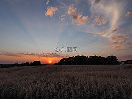日落,晚上,云