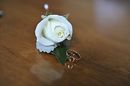 花,婚禮,環(huán)