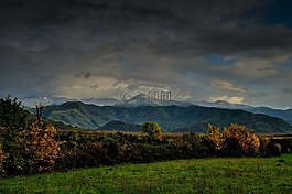 景觀,山,秋