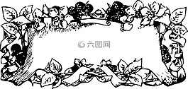 邊境,葉,水果