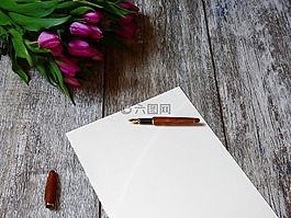 信件,紙,給