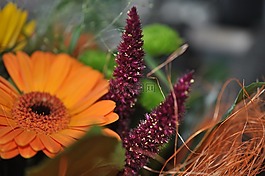 束鮮花,性質(zhì),豐富多彩