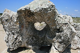石頭,性質(zhì),心