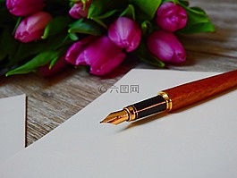 信件,紙,給