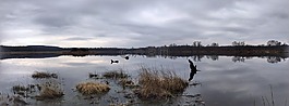 全景,水,黃昏
