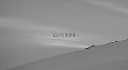 冬天,景觀,雪