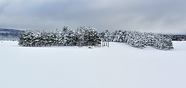 山,雪,冬天