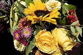 秋季,花束,鮮花