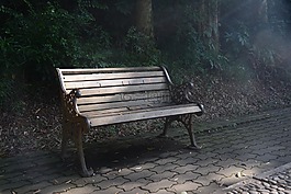 醇厚,椅子,公園