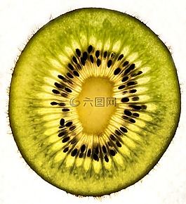 獼猴桃,水果,食品
